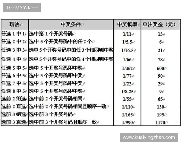 掌握十一选五技巧提升中奖概率的实用策略与方法解析